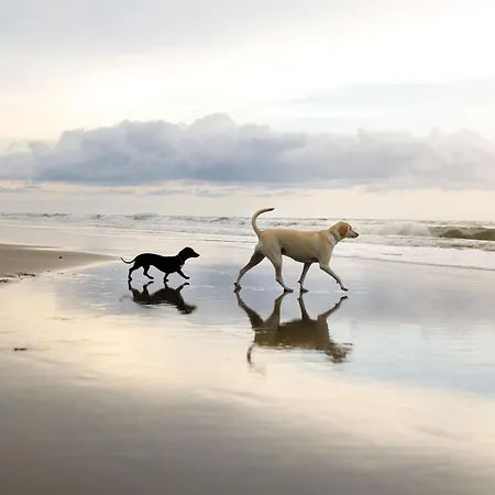 بيت للعطل Lighthouse - Part Of The The Bay Village With Pool, Gym And Direct Access, Pub, Restaurant, Tennis And Meadows Walks Filey