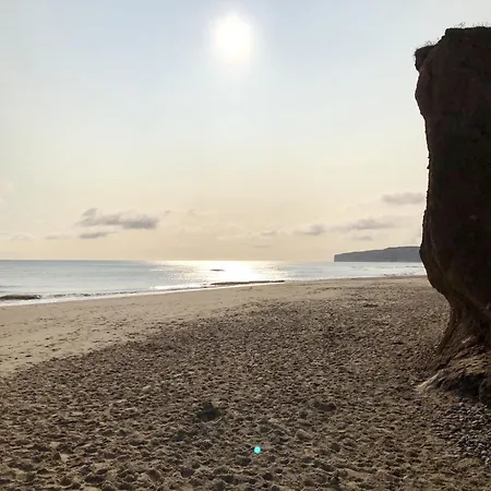 Lighthouse - Part Of The The Bay Village With Pool, Gym And Direct Access, Pub, Restaurant, Tennis And Meadows Walks Ferienhaus Filey